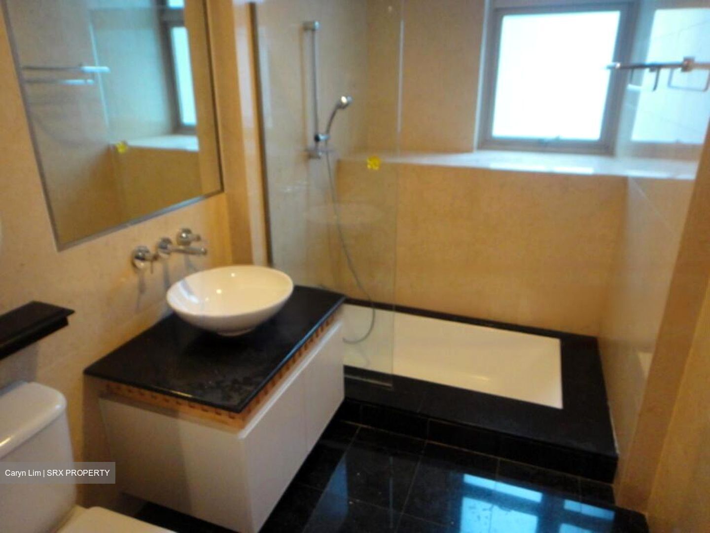 Cairnhill Crest (D9), Condominium #482280641